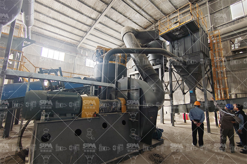 Industrial installation of a large MTW series trapezium grinding mill in a mineral processing plant