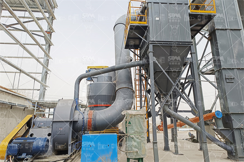 Integrated vertical roller mill system for fly ash grinding and classification